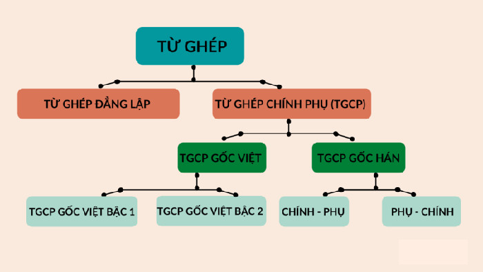 Phân loại các từ ghép tiếng Việt, minh họa chi tiết 10 ví dụ từ ghép