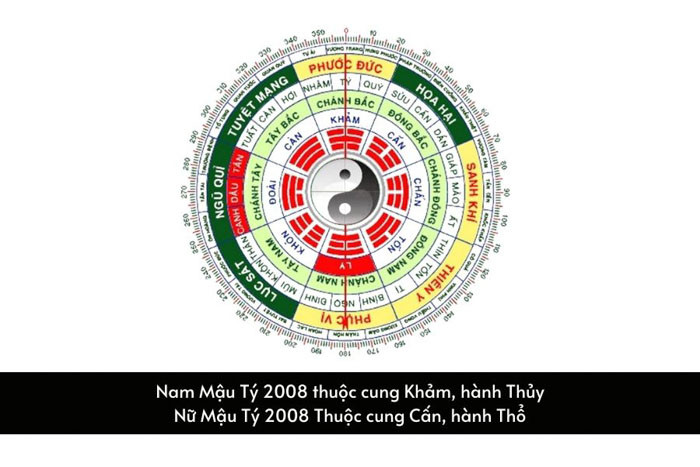 Phân tích cung mệnh cho nam và nữ tuổi Tý 2008