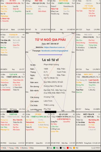 Phân tích lá số tử vi của Phạm Nhật Vượng