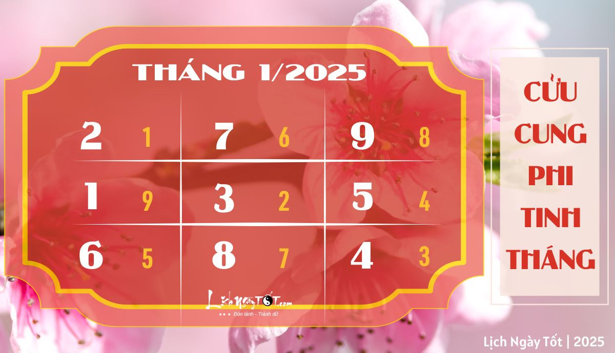 Phân tích phi tinh trong tử vi tháng 1 năm 2025