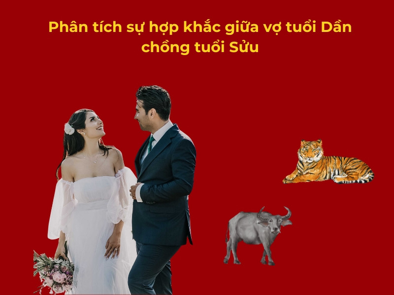 Phân tích sự hợp khắc giữa vợ tuổi Dần chồng tuổi Sửu