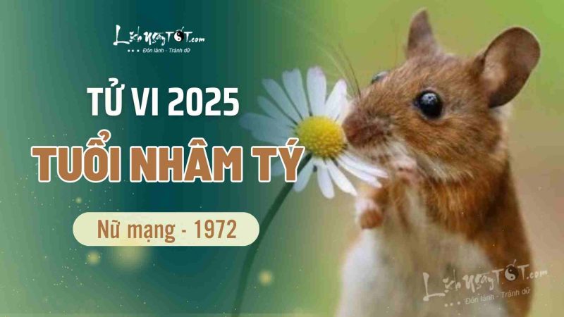 Phân tích tử vi Nhâm Tý nữ 2025 sinh năm 1972 chi tiết