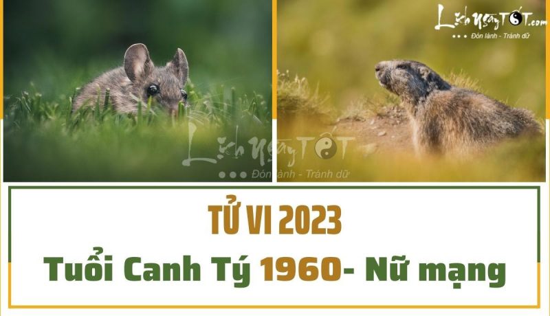 Phân tích vận hạn của nữ mạng Canh Tý 1960 trong năm Quý Mão