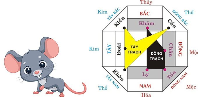 Phong thủy hướng nhà cho người tý 1996