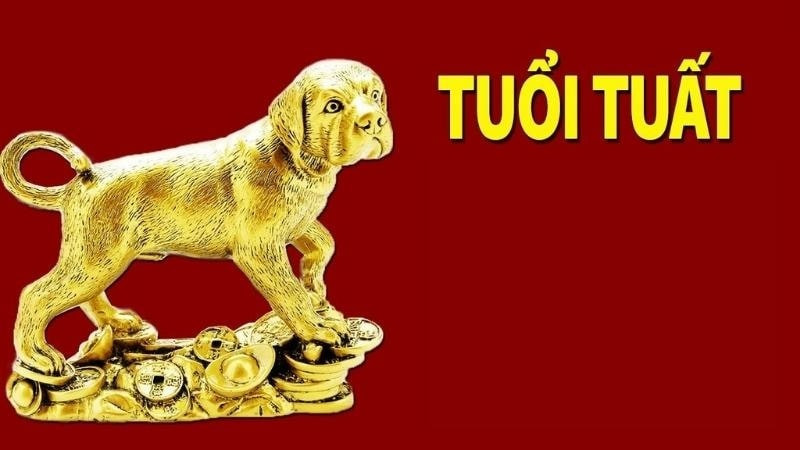 Phong thủy may mắn cho nữ mạng Nhâm Tuất 1982