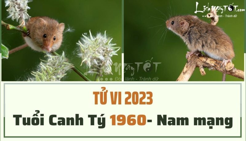 Phong thủy tử vi tuổi Canh Tý 1960 nam mạng năm 2023