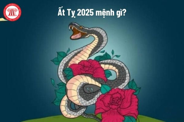 Phụ nữ tuổi Tỵ chiêm nghiệm tử vi năm 2025