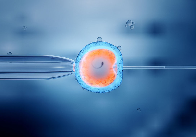 Phương pháp IVF hiện đại hỗ trợ lựa chọn giới tính, khác với cách xem sinh con trai hay gái trong tử vi