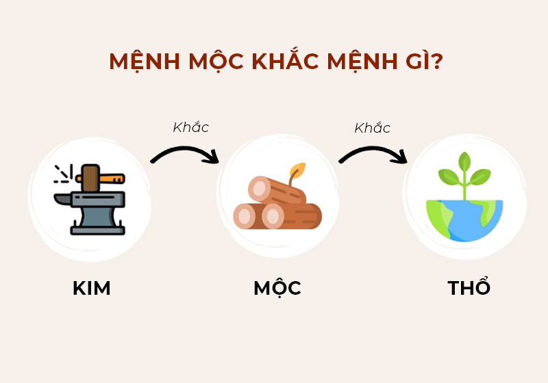 Quy luật Ngũ hành tương khắc của mệnh Mộc