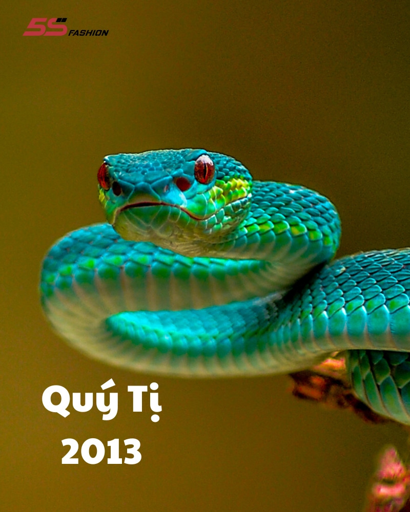 Quý Tỵ 2013 là mệnh gì và tuổi con gì? Hình ảnh tuổi Quý Tỵ