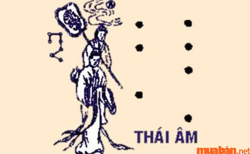 Sao Thái Âm chiếu mạng nên năm 2024 tương đối tốt đối với nữ mạng Quý Mùi 2003