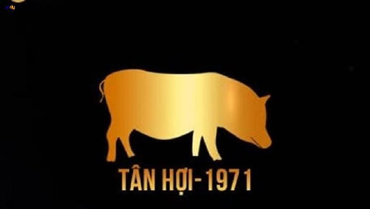 Sinh năm 1971 hợp tuổi gì trong làm ăn và hôn nhân