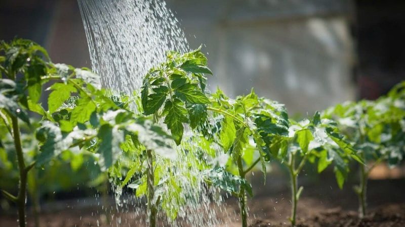 Sơ đồ ngũ hành tương sinh tương khắc, giải đáp nữ mệnh Thủy hợp mệnh gì
