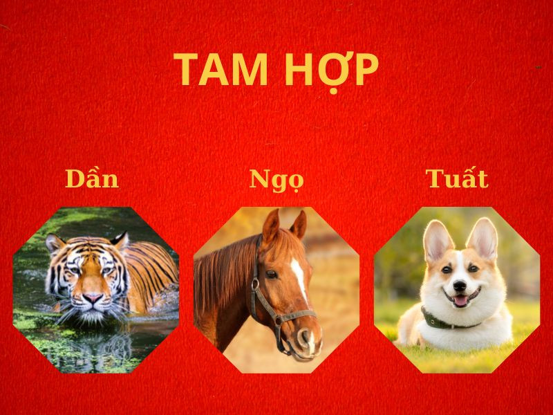 Sơ đồ tam hợp và tứ hành xung trong 12 con giáp, giúp nhận định các tuổi hợp kỵ