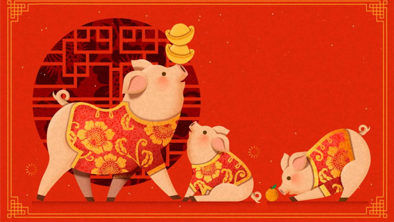 Sơ đồ tuổi hợp và kỵ cho người sinh năm 1995, giúp Ất Hợi đưa ra quyết định quan trọng trong làm ăn và hôn nhân