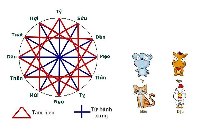 Sự gắn kết trong làm ăn và hôn nhân của người sinh năm 81 tuổi con gì