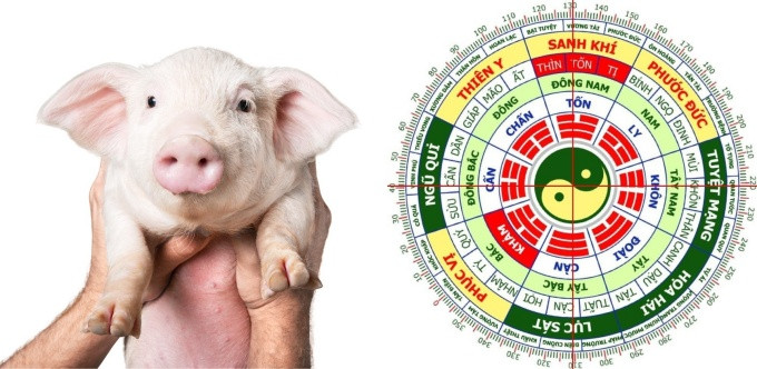 Sự khác biệt về cung mệnh giữa nam và nữ Đinh Hợi sinh năm 2007