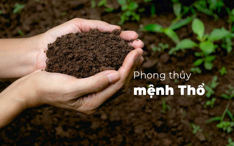 Sự tương khắc của mệnh Thổ với Mộc và Thủy