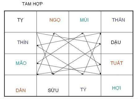 tam hợp