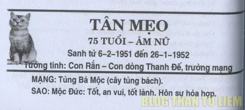 Thái Ất Tử Vi tuổi Tân Mão 1951 nữ mạng năm 2025 chi tiết
