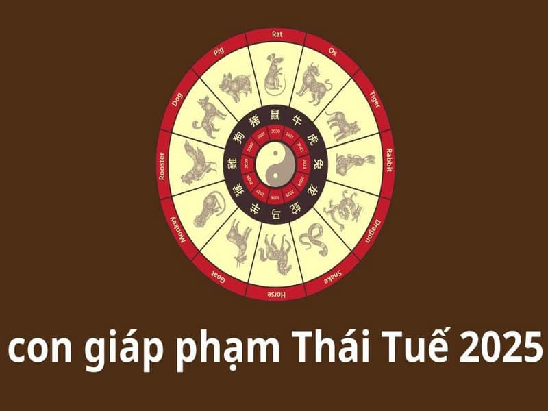 Thái Tuế trong tử vi nam 1997 năm 2025