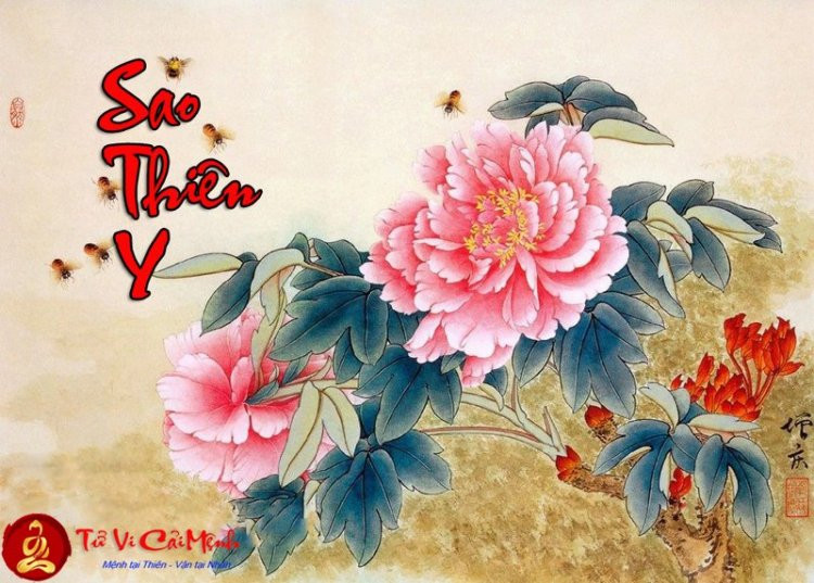 Thiên Y Tử Vi mang ý nghĩa cứu giải bệnh tật, chăm sóc sức khỏe