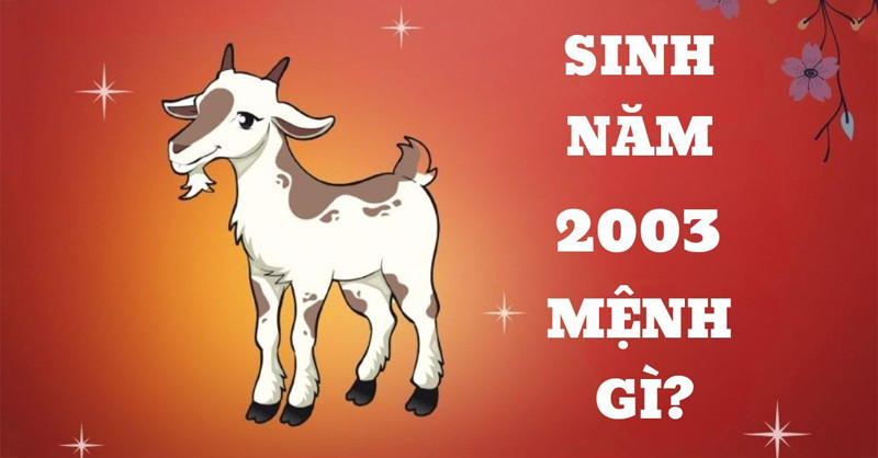 Tím hiểu tất tần tật về người sinh năm 2003