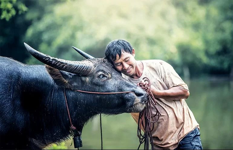 Tính cách của nam 1985 mệnh Kim