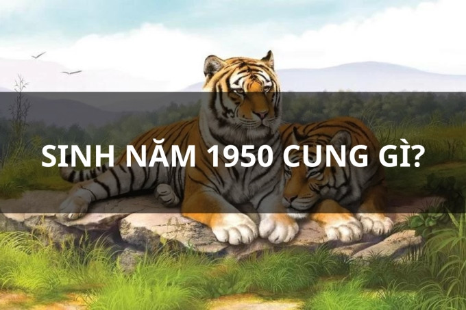 Tính cách độc lập và mạnh mẽ của người tuổi Canh Dần 1950