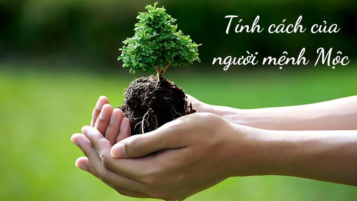 tính cách người mệnh mộc