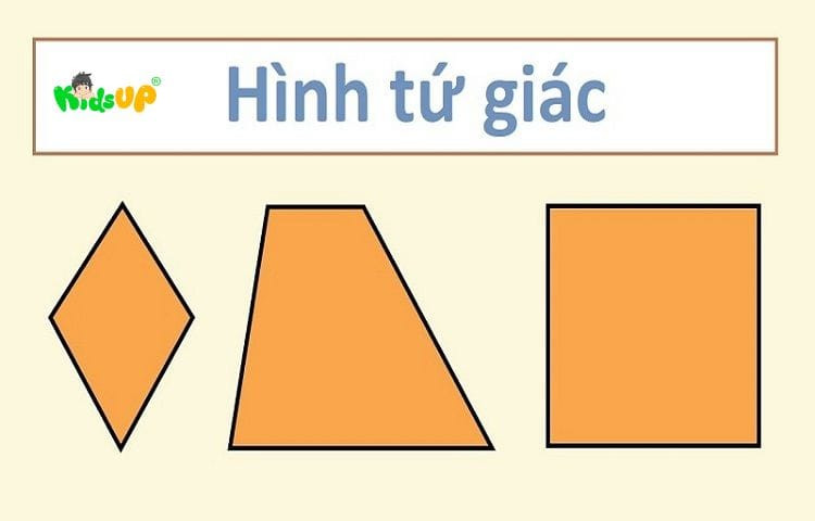 Tính chất chung của các hình tứ giác