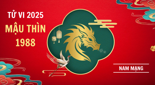 Tổng quan lá số tử vi tuổi Thìn 1988 năm 2025 nam mạng