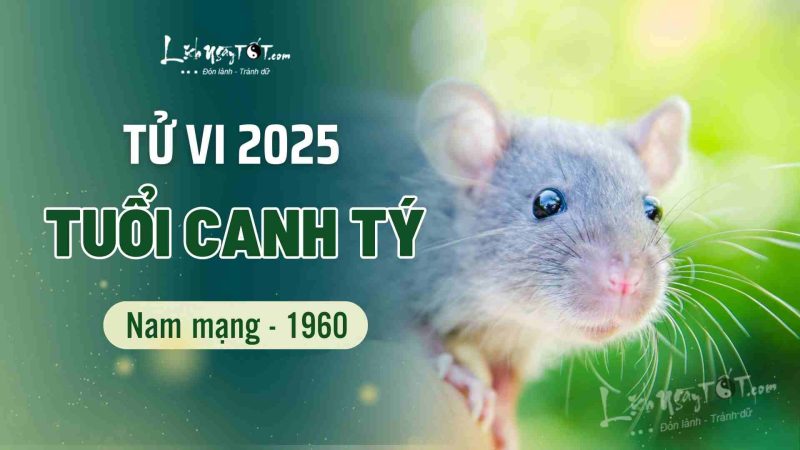 Tổng quan tử vi Canh Tý nam mạng 2025 với hình ảnh phong thủy