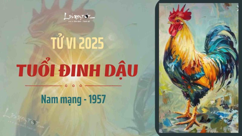 Tổng quan tử vi Đinh Dậu 1957 nam mạng năm 2025
