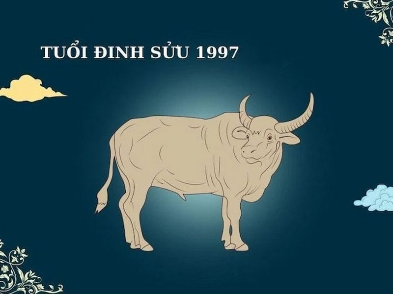 Tổng quan tử vi nam 1997 năm 2025
