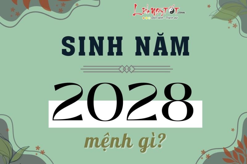 Tổng quan tử vi năm 2028 cho người tuổi Mậu Thân