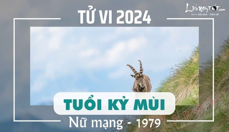 Tổng quan tử vi nữ mạng Kỷ Mùi 1979 năm 2024