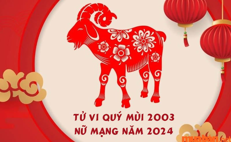 Tổng quan tử vi Quý Mùi 2003 nữ mạng năm 2024