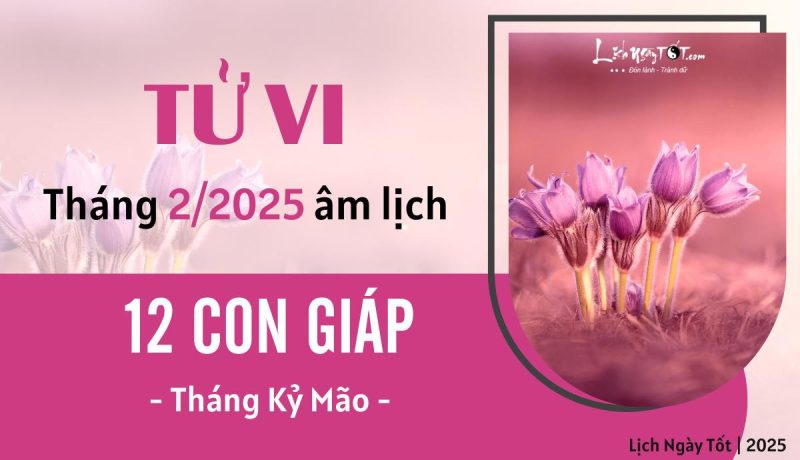 Tổng quan tử vi tháng 2/2025 của 12 con giáp