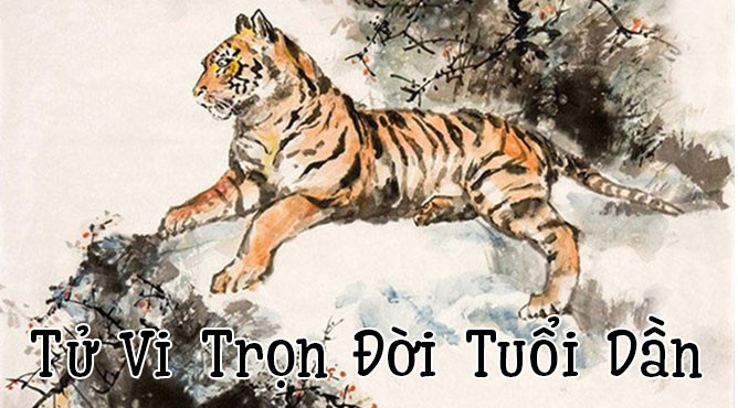 Tổng quan tử vi trọn đời của người tuổi Bính Dần