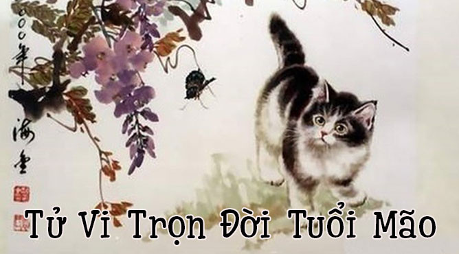 Tổng quan tử vi trọn đời của người tuổi Mão theo phong thủy