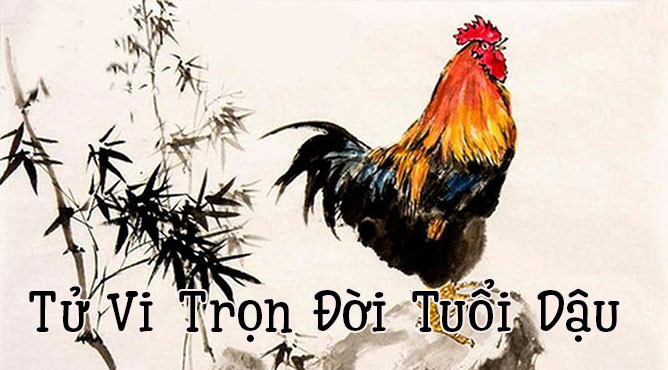 Tổng quan tử vi trọn đời người tuổi Dậu