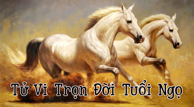 Tổng quan tử vi trọn đời tuổi Mậu Ngọ 1978