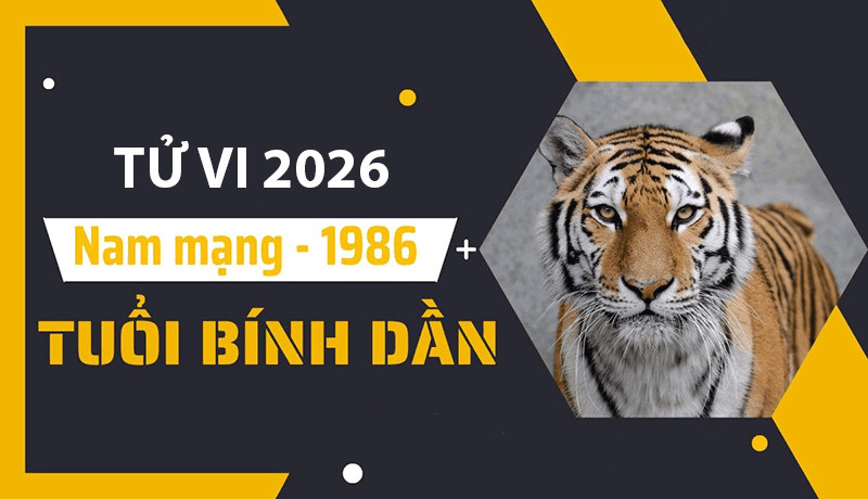Tổng quan tử vi tuổi Bính Dần 2026 nam mạng, không phạm Thái Tuế, Tam Tai, Kim Lâu