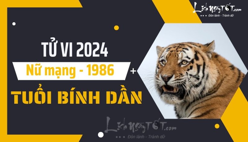 Tổng quan tử vi tuổi Bính Dần nữ mạng 2024 theo phong thủy