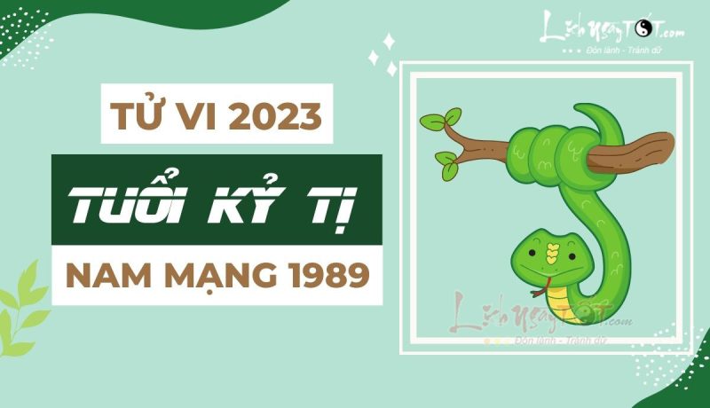 Tổng quan tử vi tuổi Kỷ Tỵ 1989 nam mạng 2023