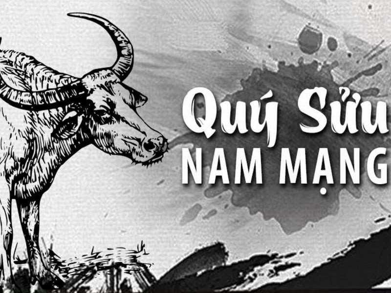 Tổng quan tử vi tuổi Sửu 1973 năm 2025