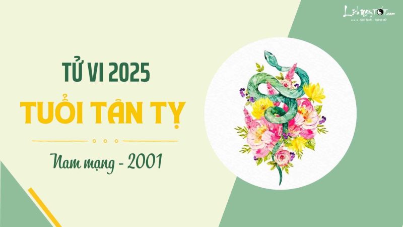Tổng quan tử vi tuổi Tân Tỵ nam mạng năm 2025