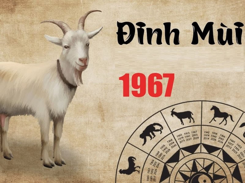 Tổng quan vận mệnh tuổi Đinh Mùi 2025 nam mạng