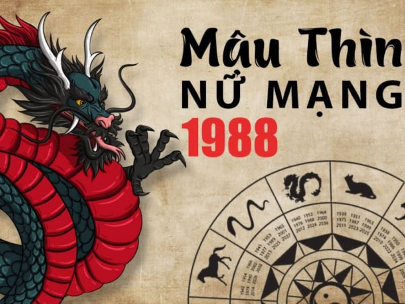 Tổng quan vận trình tử vi tuổi Mậu Thìn năm 2026 nữ mạng cho thấy nhiều khởi sắc